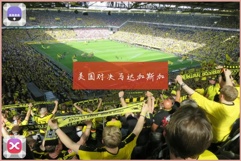 美国对决马达加斯加
