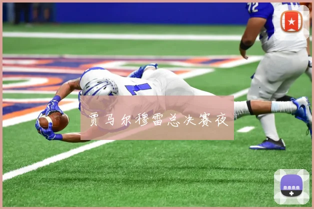 贾马尔穆雷总决赛夜