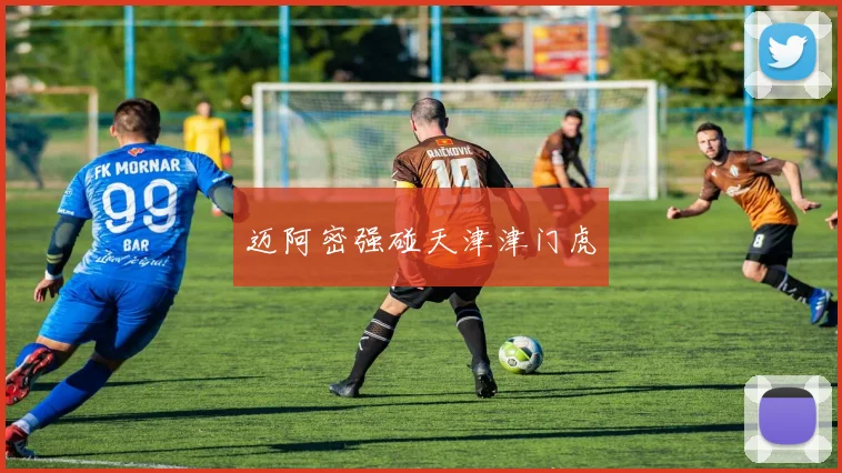 迈阿密强碰天津津门虎