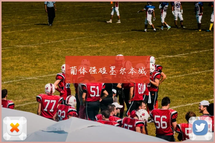 葡体强碰墨尔本城