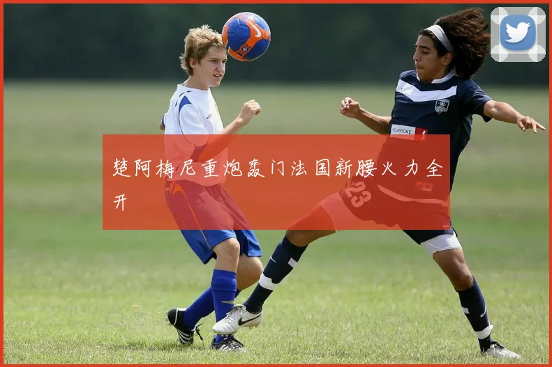 楚阿梅尼重炮轰门法国新腰火力全开