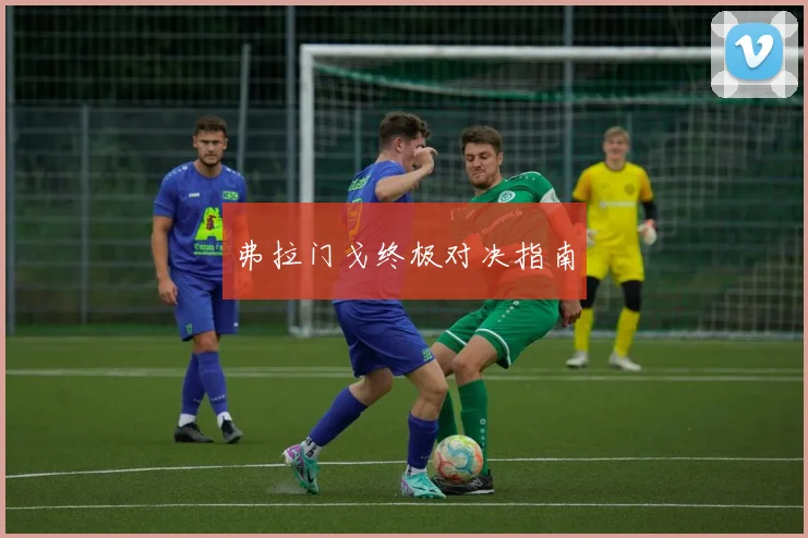 弗拉门戈终极对决指南