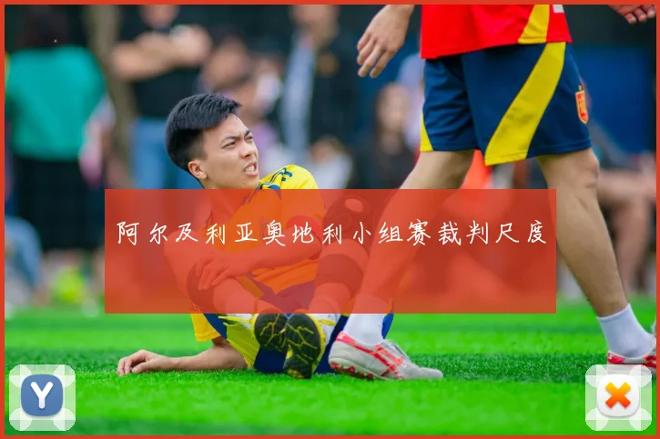 阿尔及利亚奥地利小组赛裁判尺度