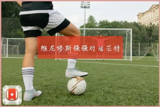 维尼修斯强强对话芒特