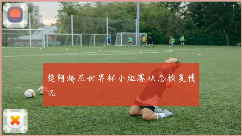楚阿梅尼世界杯小组赛状态恢复情况