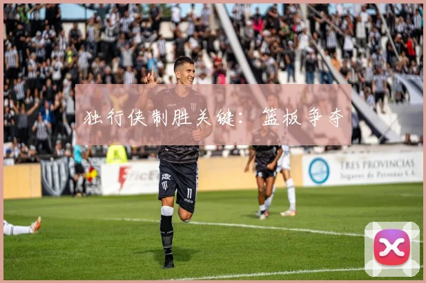 独行侠制胜关键：篮板争夺
