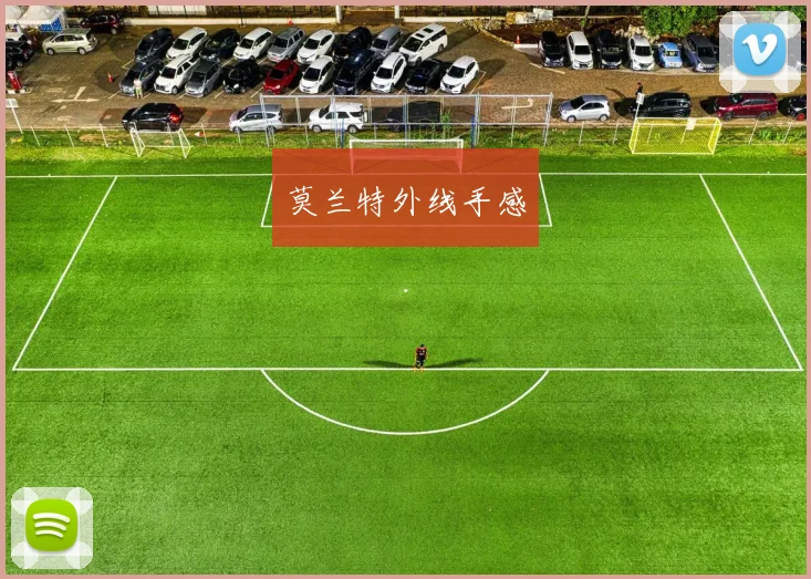 莫兰特外线手感