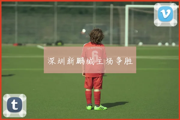 深圳新鹏城主场争胜