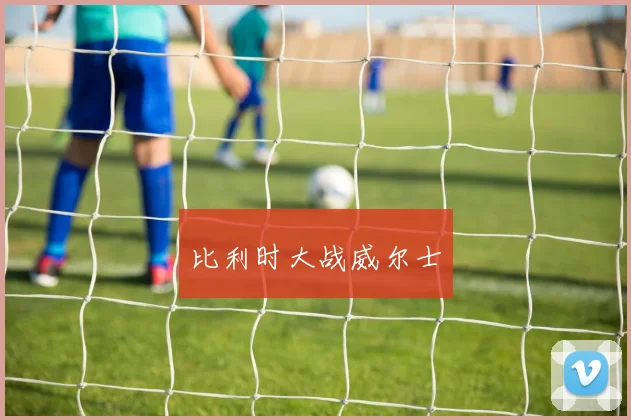 比利时大战威尔士