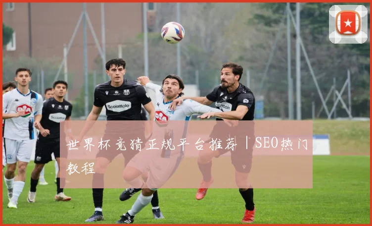 世界杯竞猜正规平台推荐｜SEO热门教程