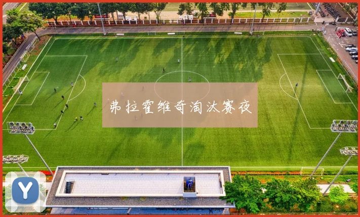 弗拉霍维奇淘汰赛夜