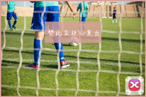 赞比亚核心复出