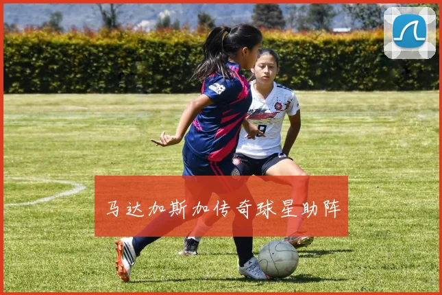 马达加斯加传奇球星助阵