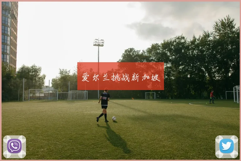 爱尔兰挑战新加坡