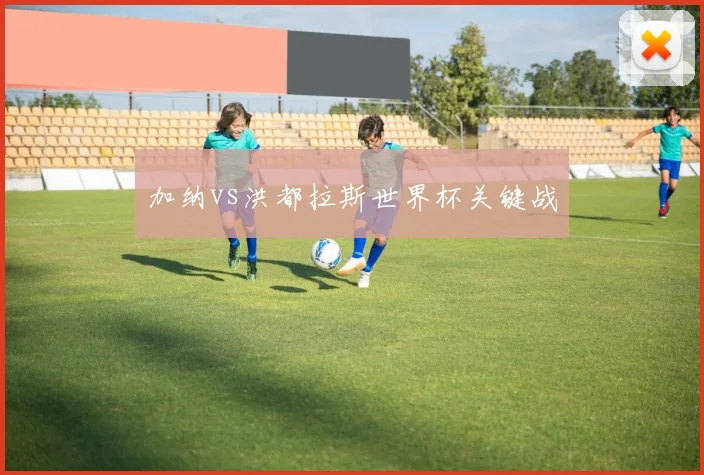加纳vs洪都拉斯世界杯关键战