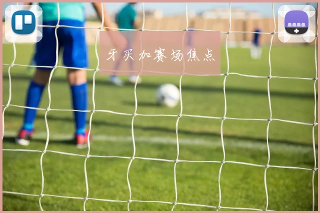 牙买加赛场焦点
