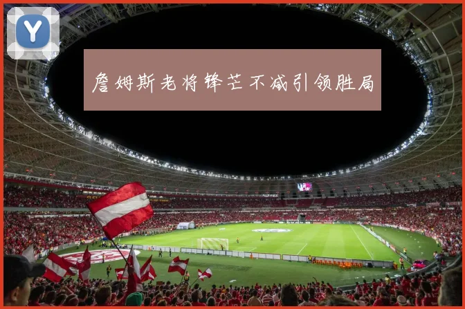 詹姆斯老将锋芒不减引领胜局