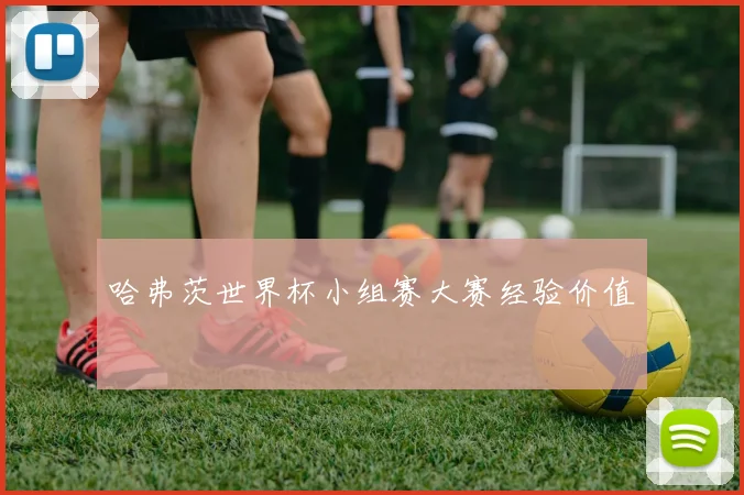 哈弗茨世界杯小组赛大赛经验价值