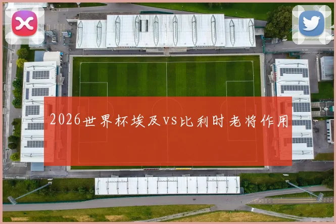 2026世界杯埃及vs比利时老将作用