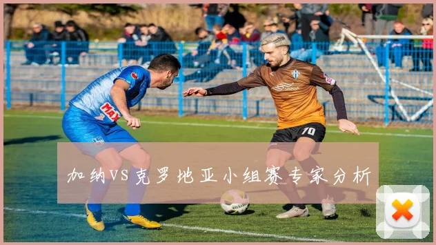 加纳vs克罗地亚小组赛专家分析