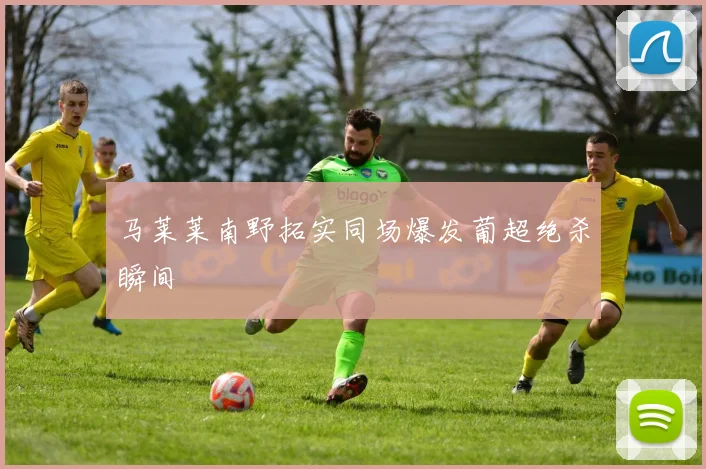 马莱莱南野拓实同场爆发葡超绝杀瞬间
