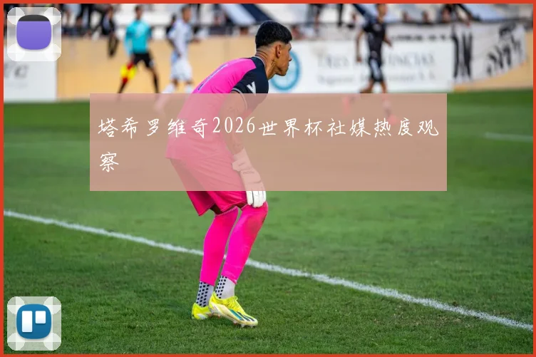 塔希罗维奇2026世界杯社媒热度观察