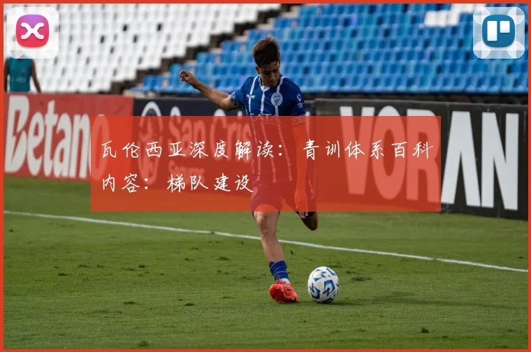 瓦伦西亚深度解读:青训体系百科内容:梯队建设