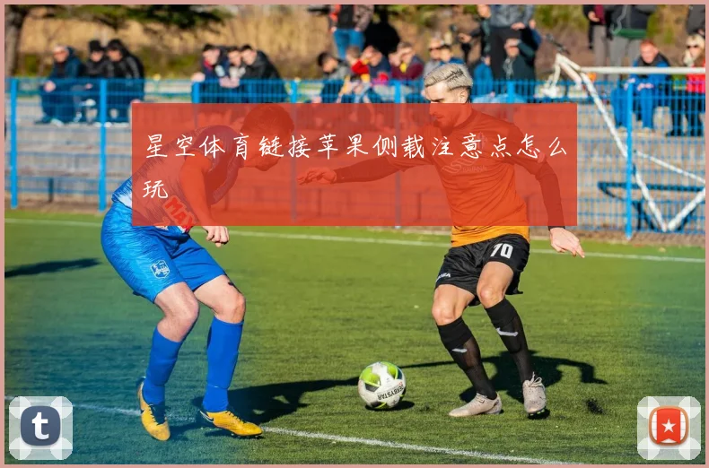 星空体育链接苹果侧载注意点怎么玩
